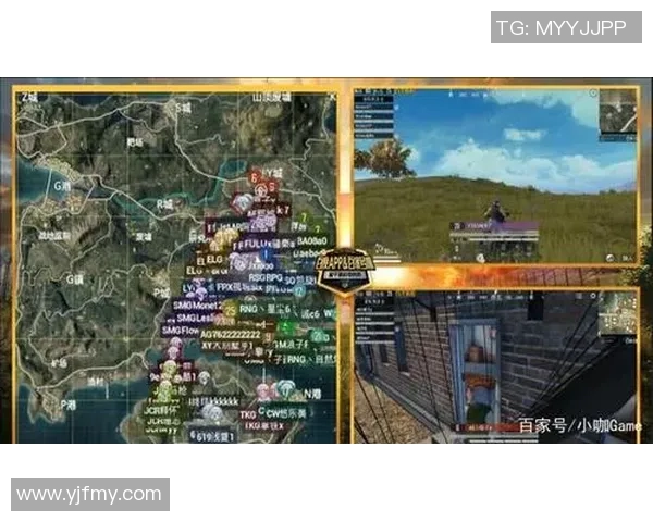 和平精英战队RNG的耐力分析与战术探讨之路