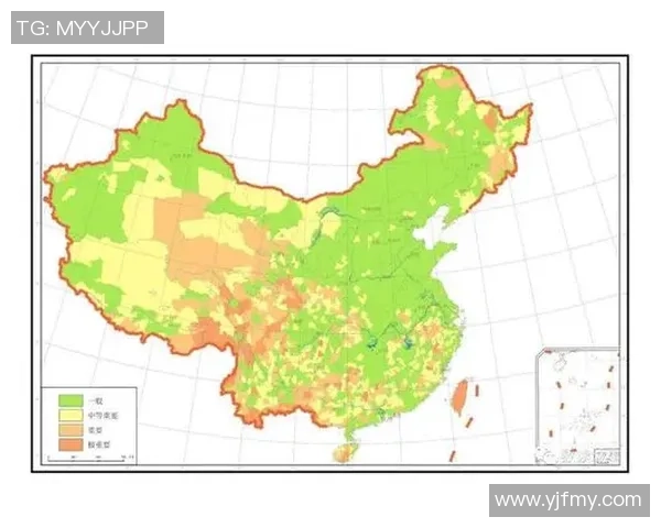 南京飞盘队近期状态分析与表现评估数据解读