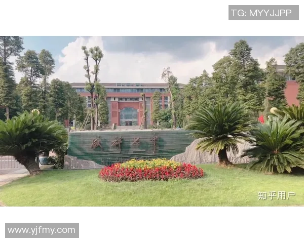 成都羽毛球队实力飙升创造历史新高引发全国关注