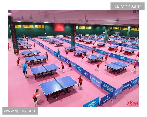 成都乒乓球队耐力训练的深度分析与提升策略探讨